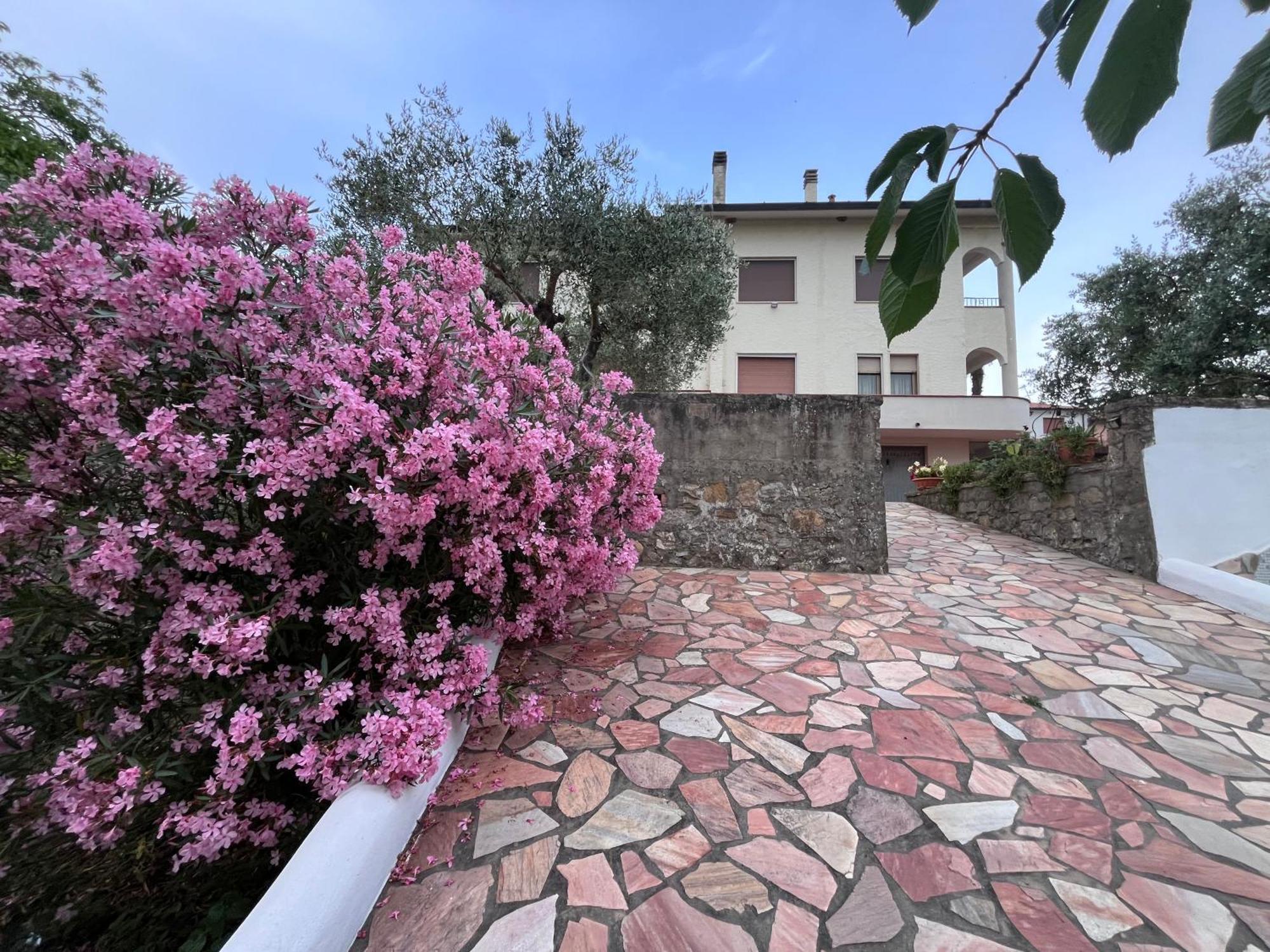Casa Di Katia Διαμέρισμα Collesalvetti Εξωτερικό φωτογραφία